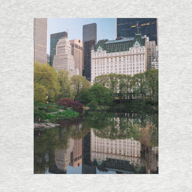 Central Park 9 by igjustin